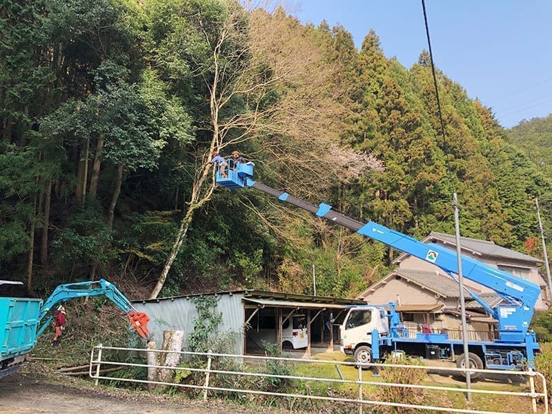 南河内林業 事業内容